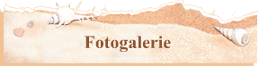 Fotogalerie