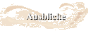 Ausblicke